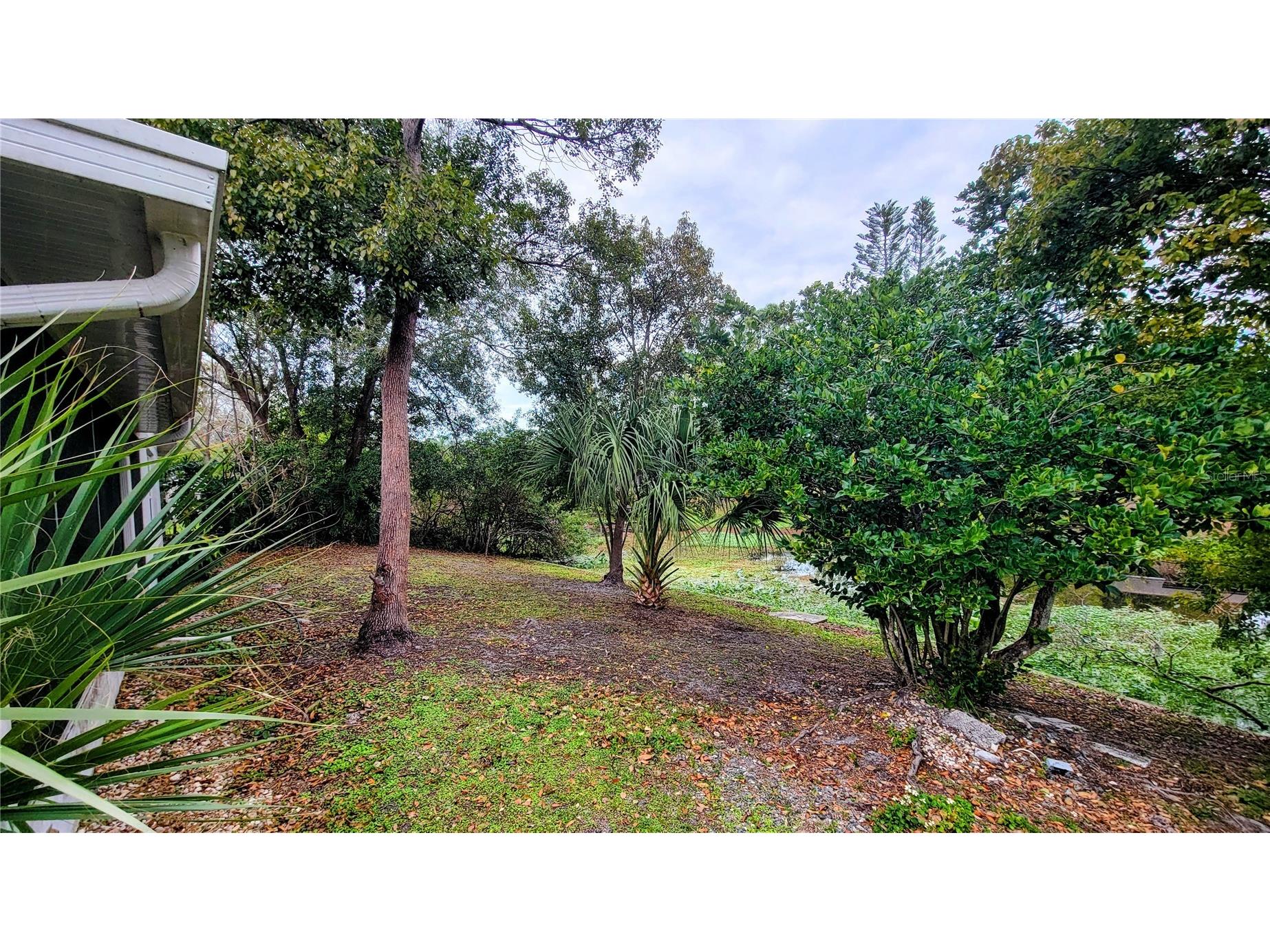 7051 Wentworth Way New Port Richey FL 34655 TB8478731 image9