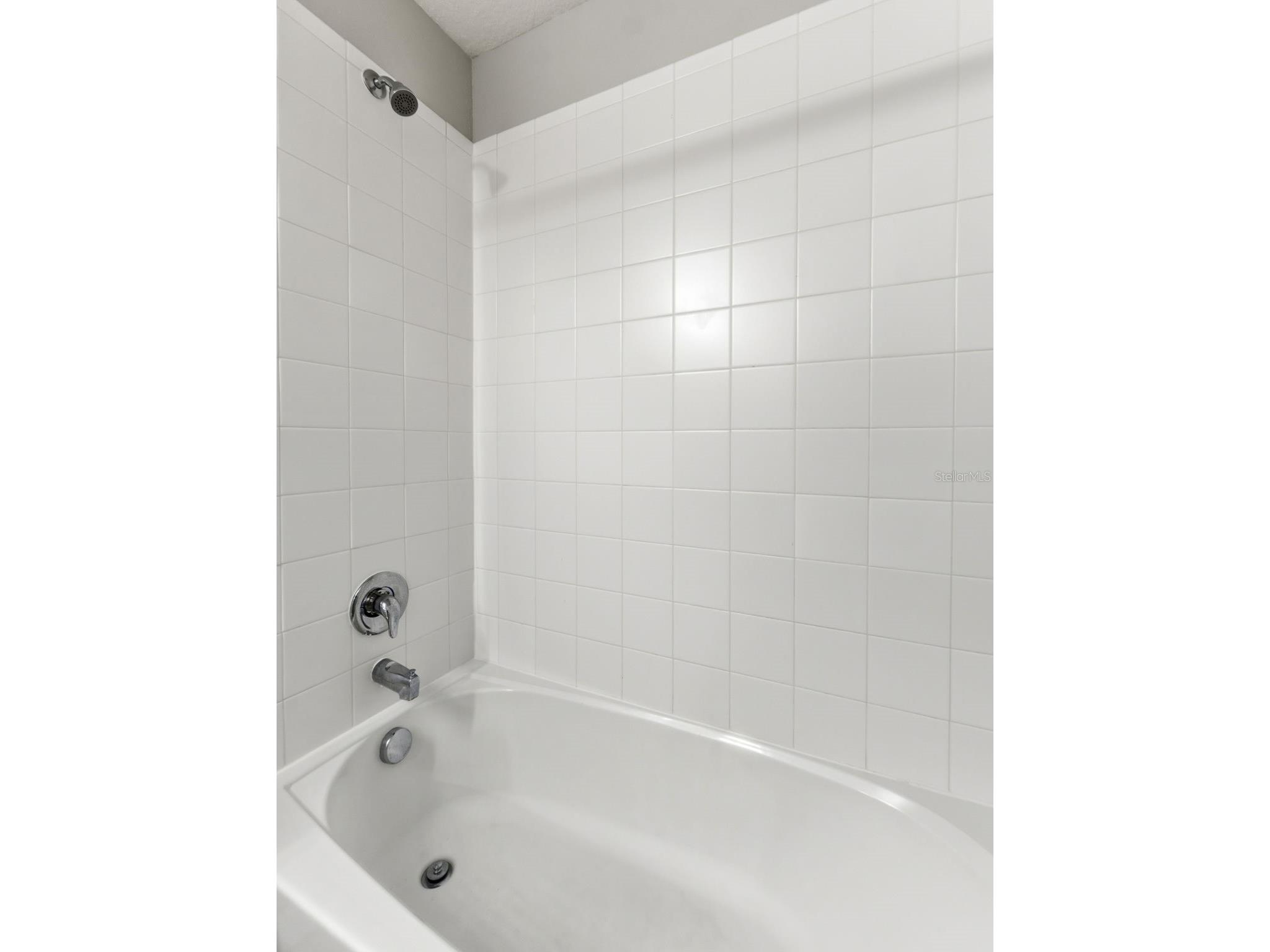 7052 Grand Elm Drive Riverview FL 33578 TB8508032 image21