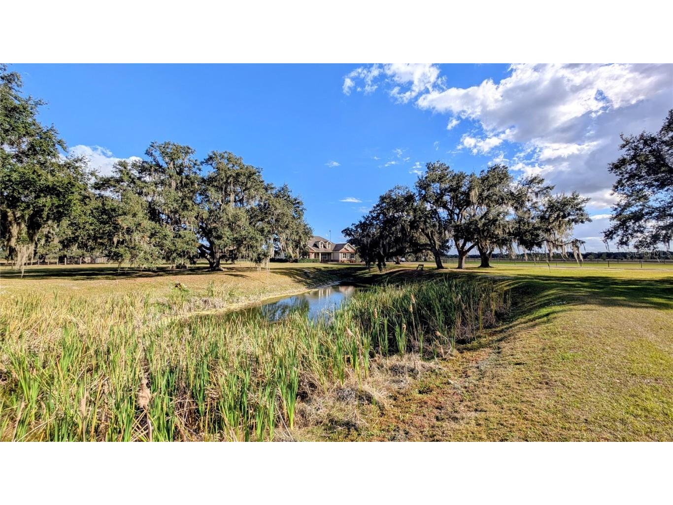 7053 George Marsh Road Zolfo Springs FL 33890 P4937349 image14