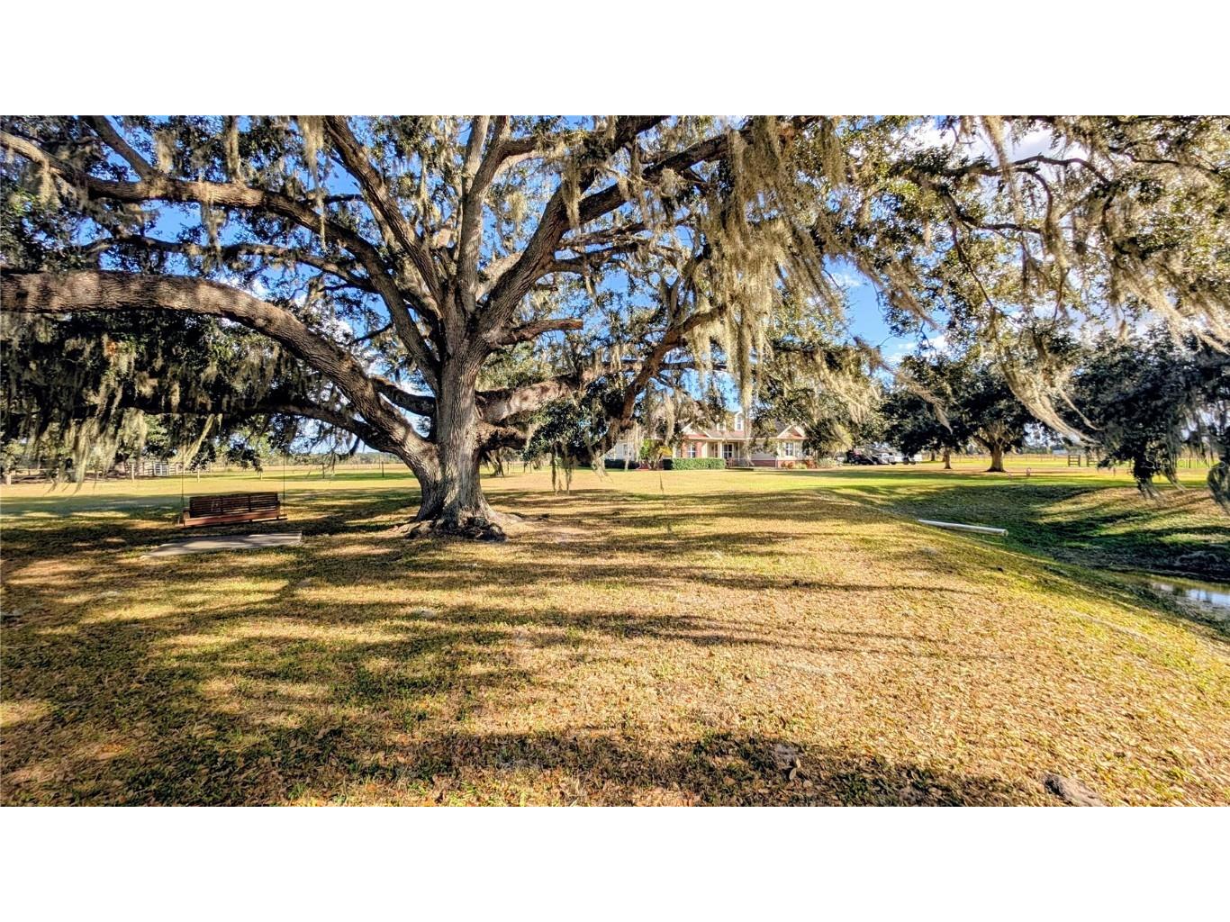 7053 George Marsh Road Zolfo Springs FL 33890 P4937349 image23
