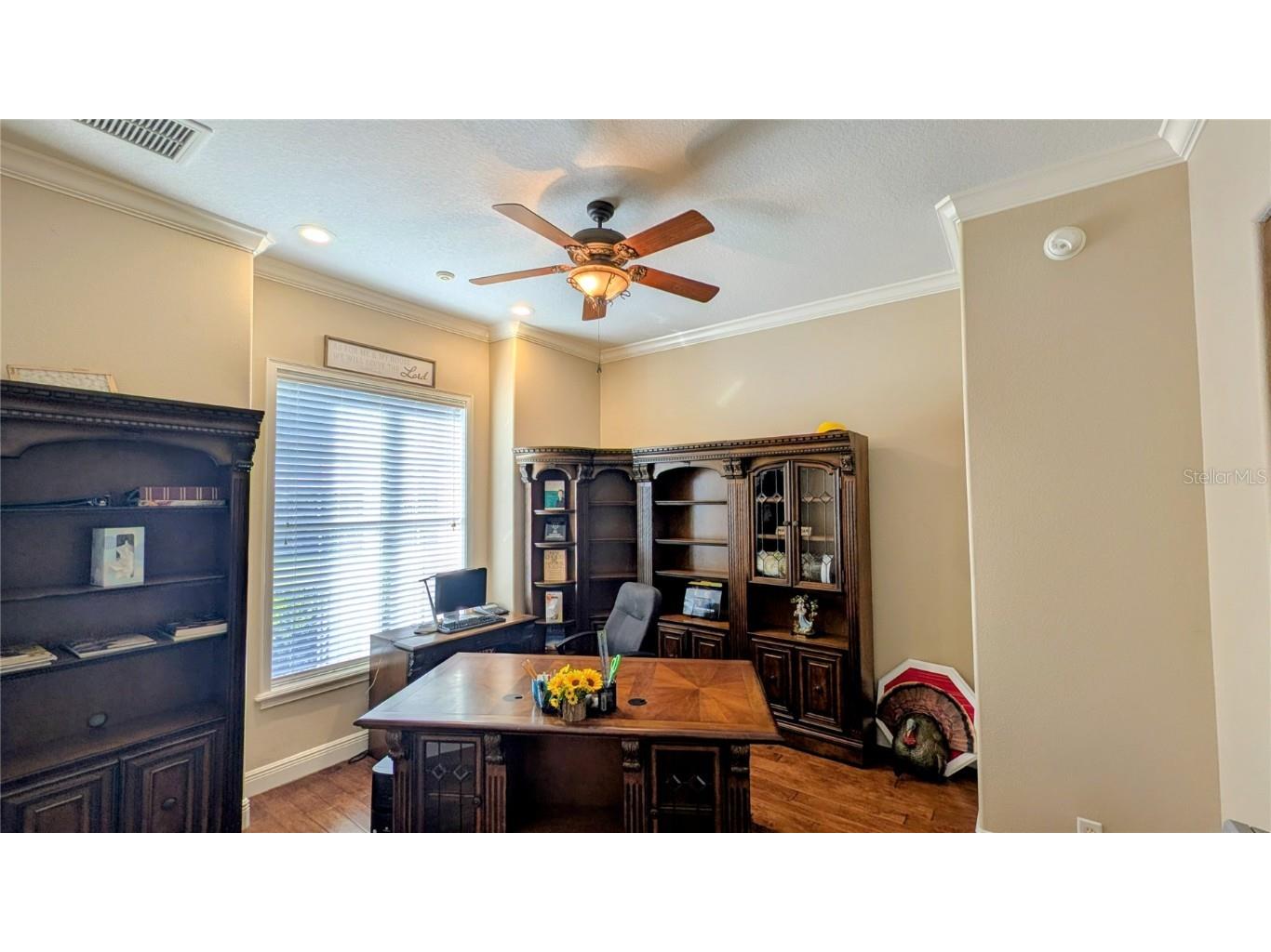 7053 George Marsh Road Zolfo Springs FL 33890 P4937349 image34