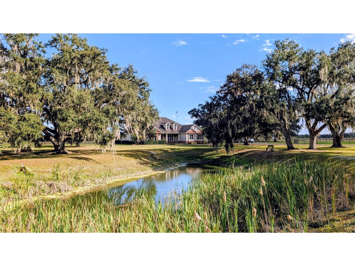 7053 George Marsh Road Zolfo Springs FL 33890 P4937349 image4