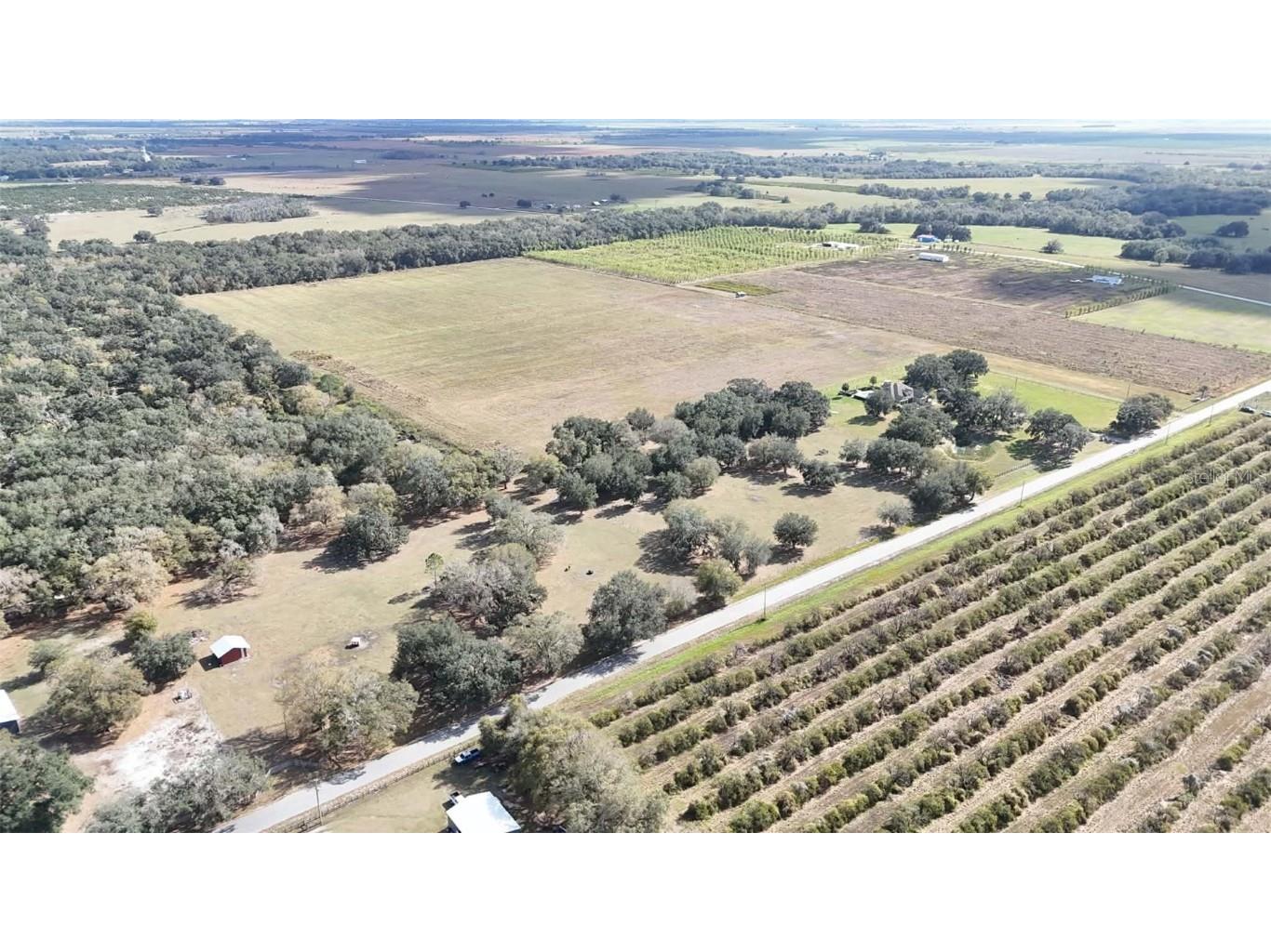 7053 George Marsh Road Zolfo Springs FL 33890 P4937349 image56