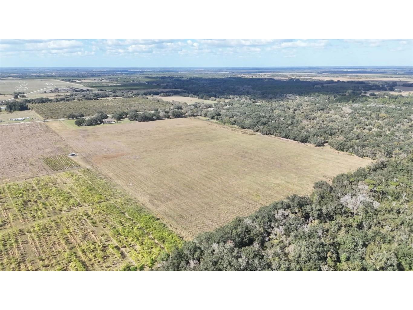 7053 George Marsh Road Zolfo Springs FL 33890 P4937349 image58