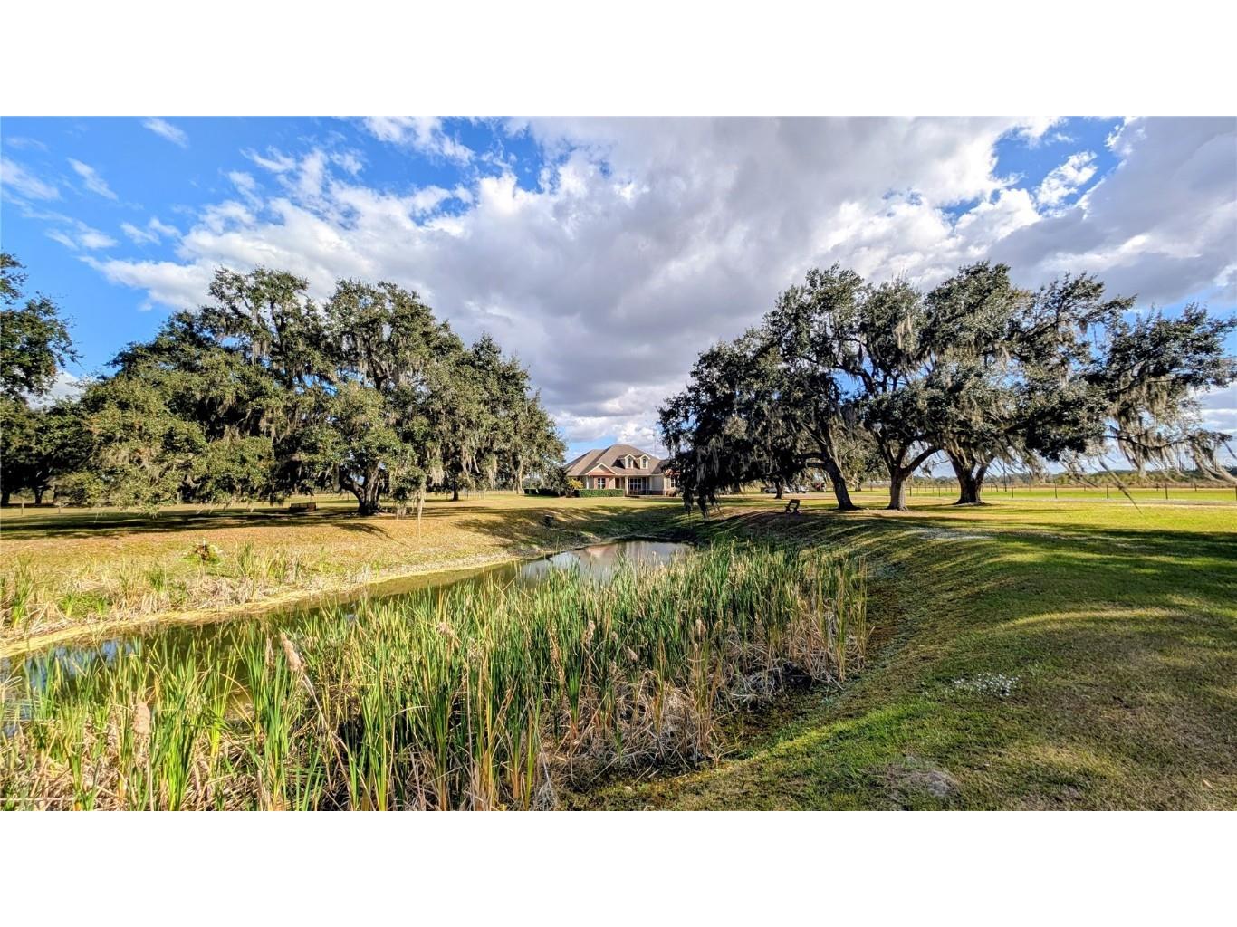 7053 George Marsh Road Zolfo Springs FL 33890 P4937349 image6