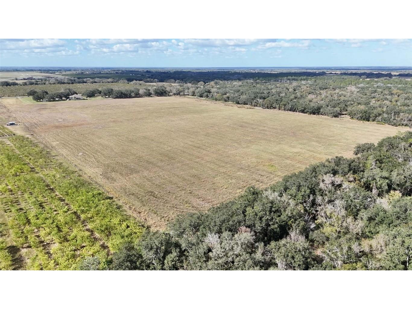 7053 George Marsh Road Zolfo Springs FL 33890 P4937349 image61