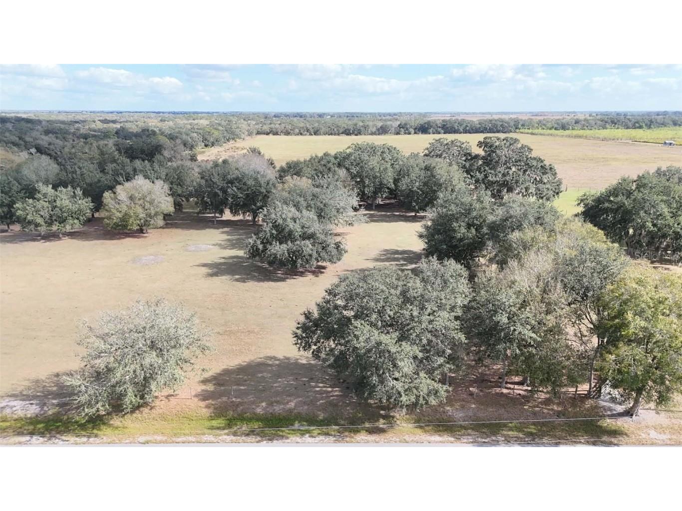 7053 George Marsh Road Zolfo Springs FL 33890 P4937349 image67