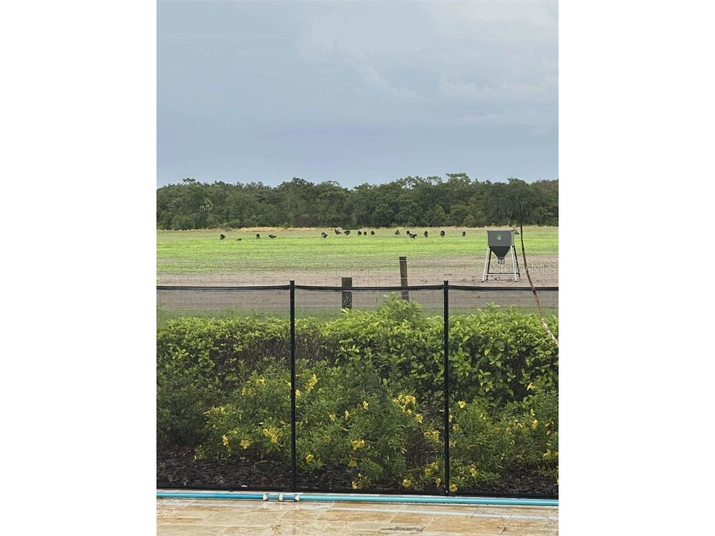 7053 George Marsh Road Zolfo Springs FL 33890 P4937349 image80