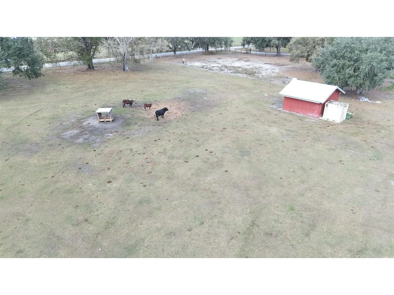 7053 George Marsh Road Zolfo Springs FL 33890 P4937349 image81