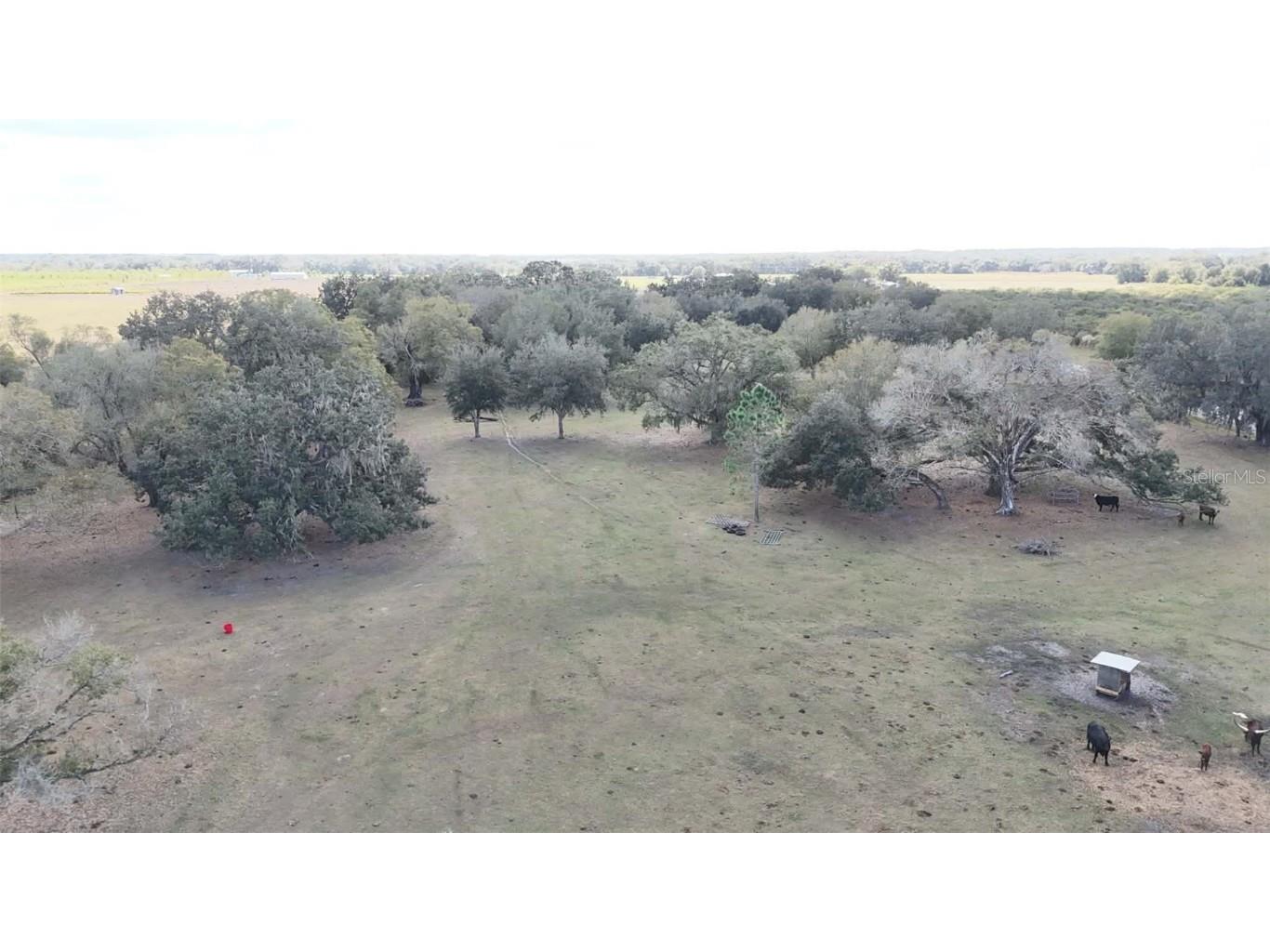 7053 George Marsh Road Zolfo Springs FL 33890 P4937349 image9