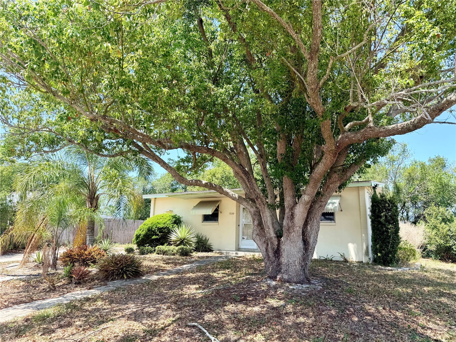 7055 Merrick Lane Spring Hill FL 34606 W7885294 image3