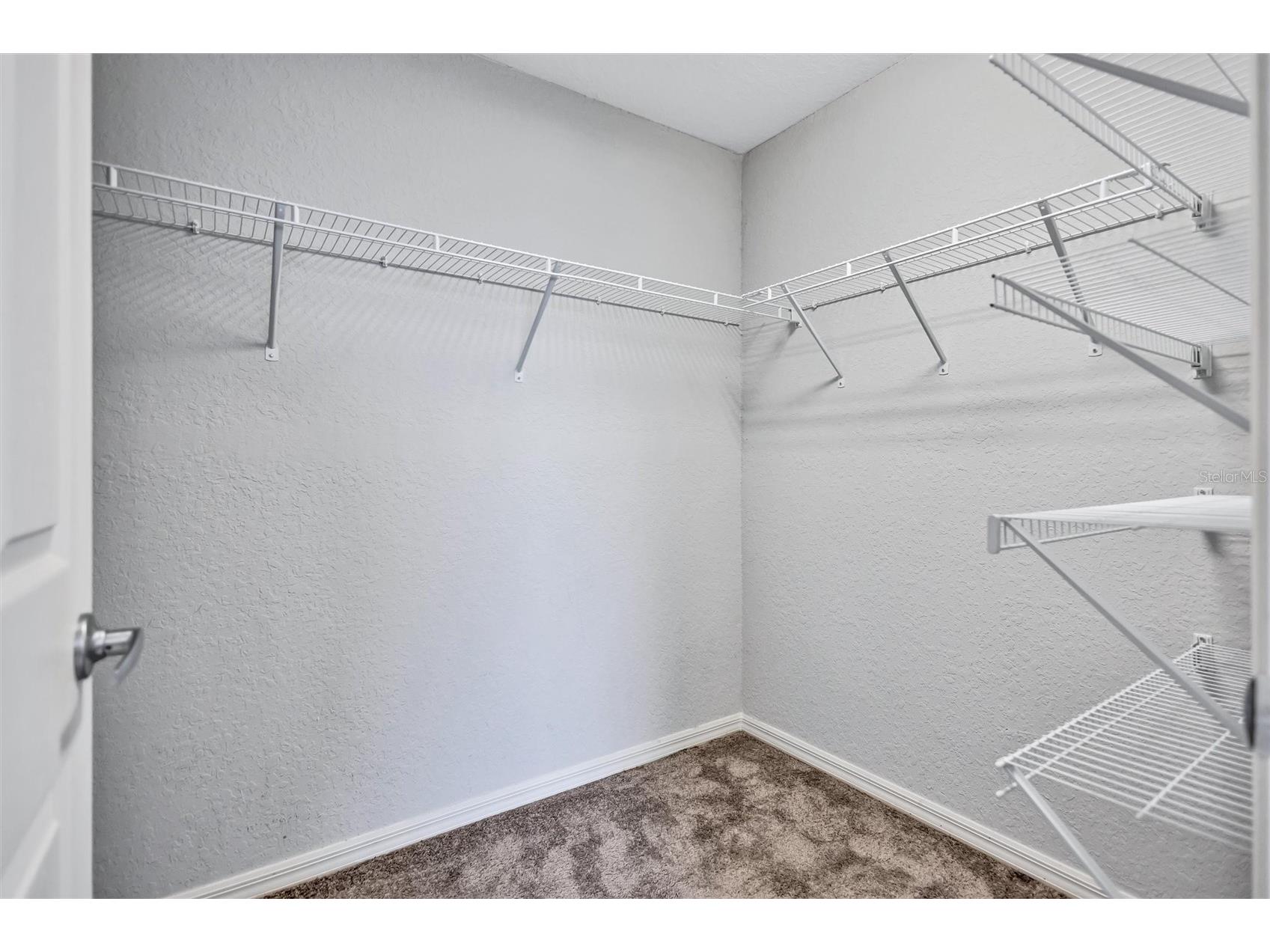 7056 Gideon Circle Zephyrhills FL 33541 TB8511995 image20