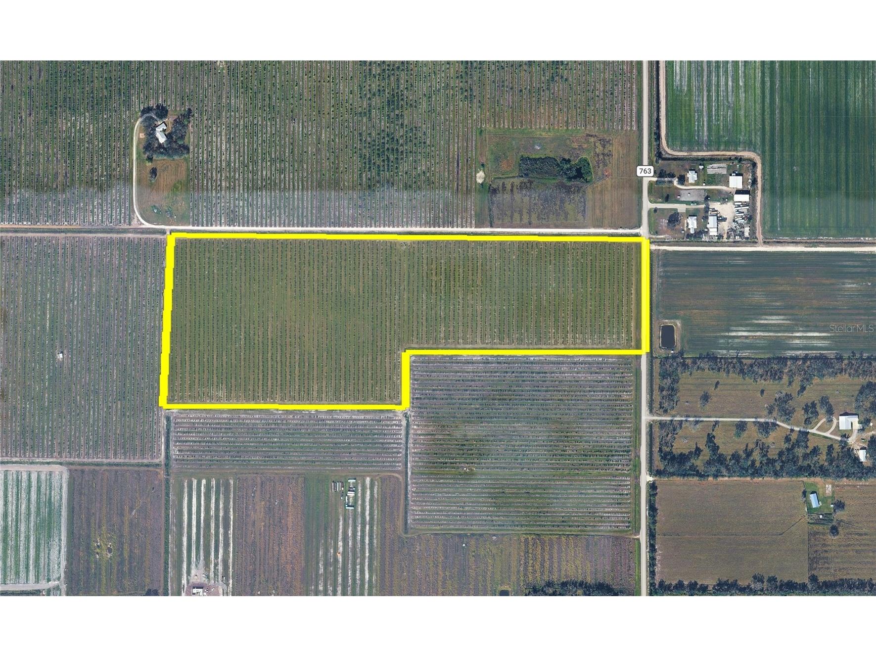7057 SE County Road 763 Arcadia FL 34266 C7525704 image2