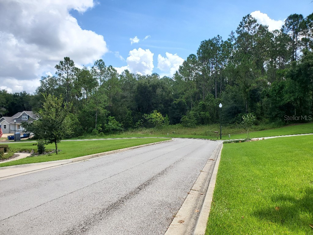 7059 Norne Lane Mount Dora FL 32757 W7858749 image1