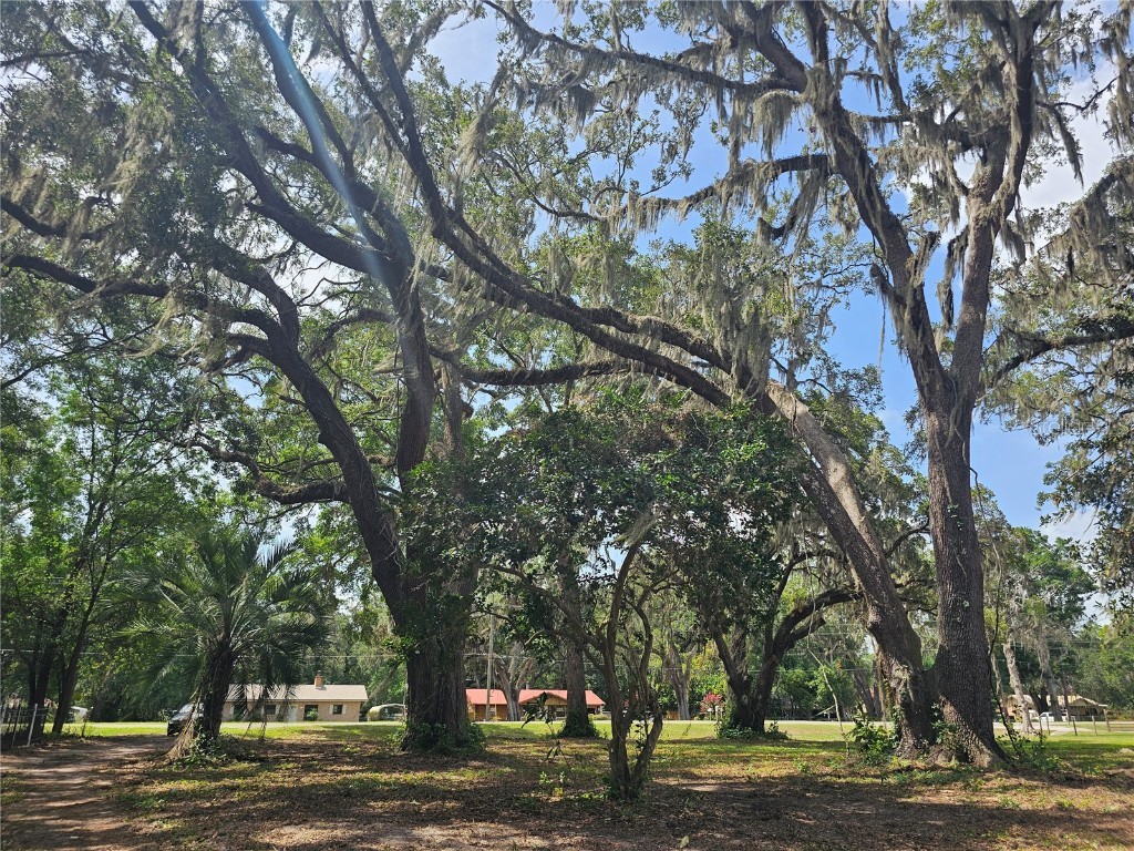 7059 SE County Highway 25a Belleview FL 34420 G5098063 image11