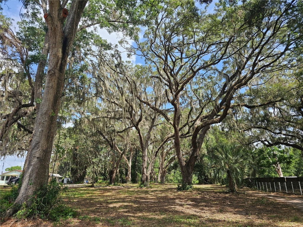 7059 SE County Highway 25a Belleview FL 34420 G5098063 image13