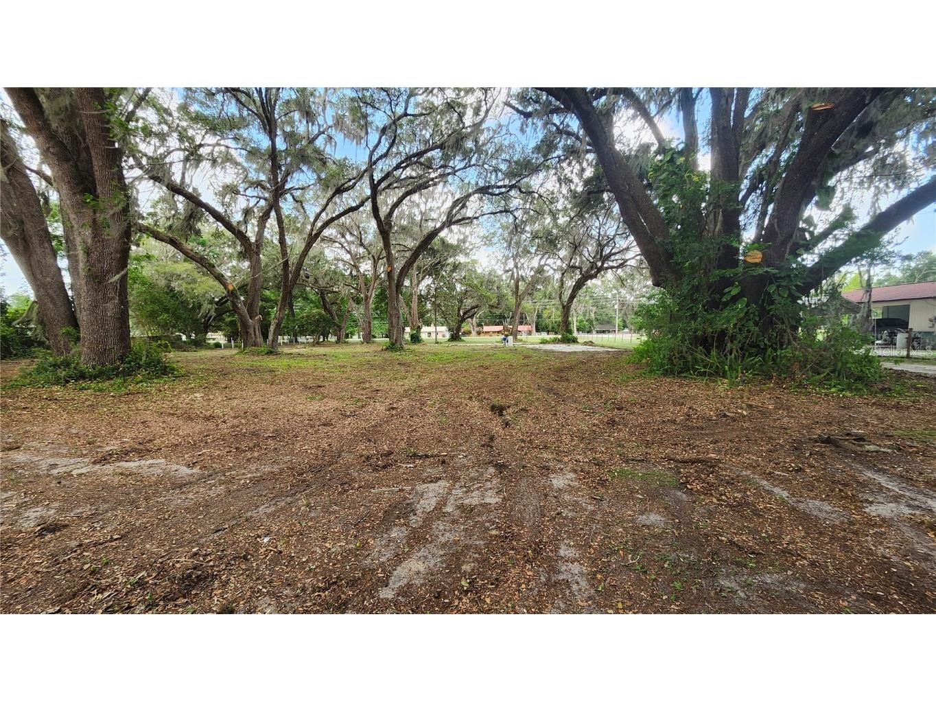 7059 SE County Highway 25a Belleview FL 34420 G5098063 image2