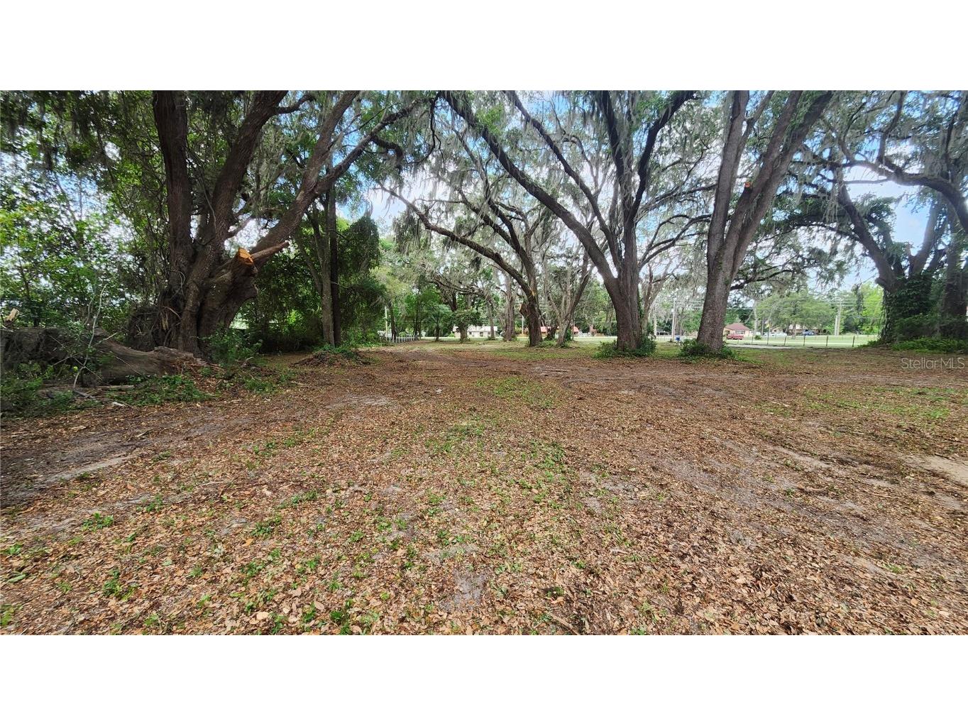 7059 SE County Highway 25a Belleview FL 34420 G5098063 image4