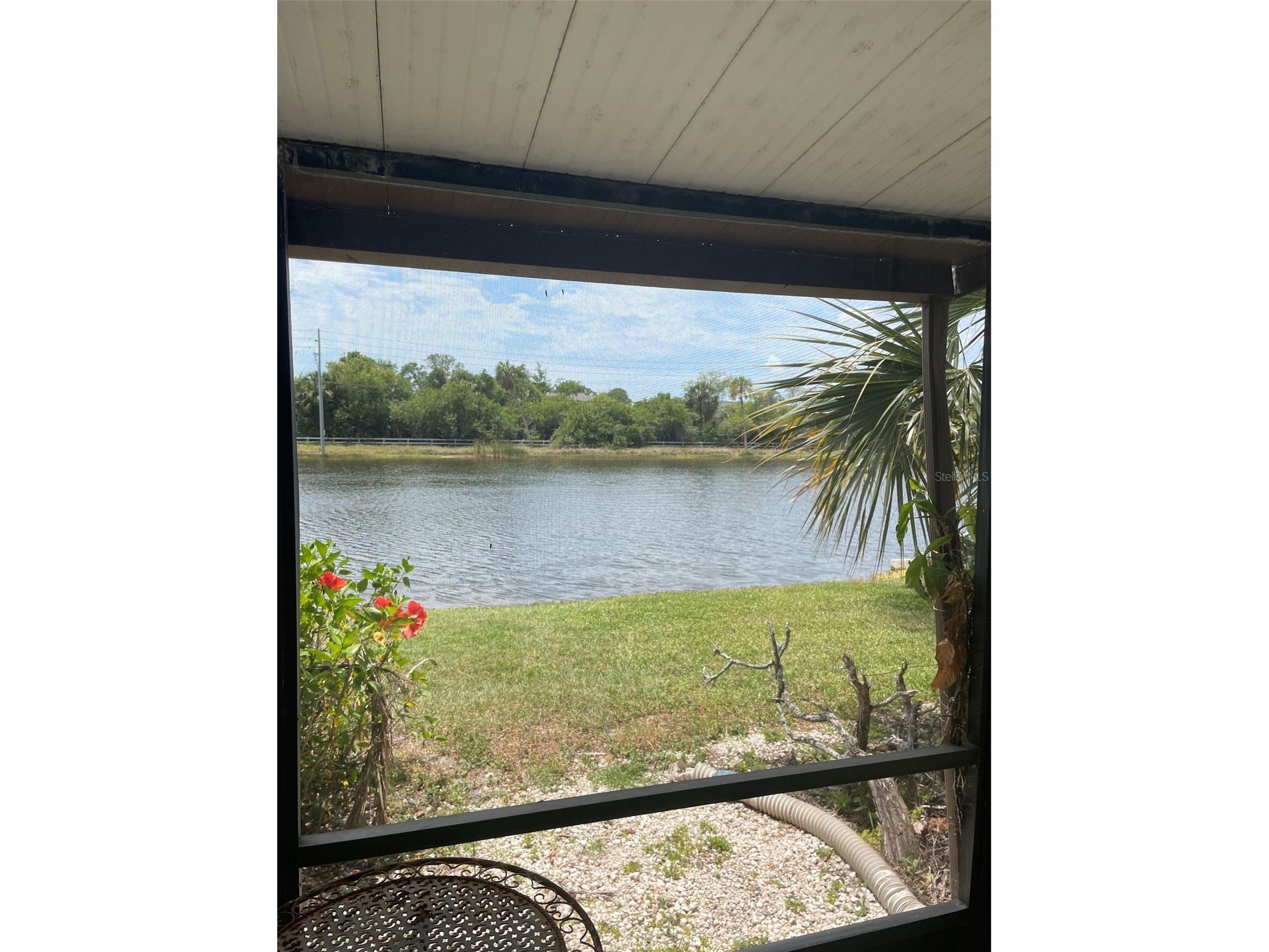706 115th #2401 Saint Petersburg FL 33716 TB8506501 image3
