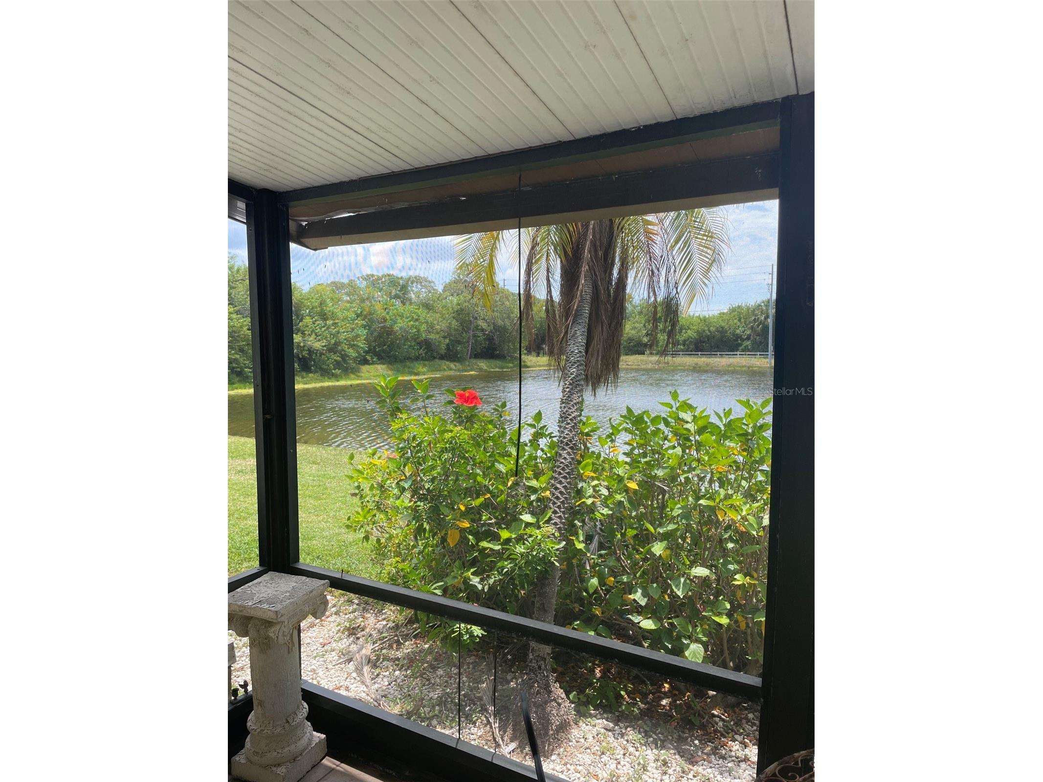706 115th #2401 Saint Petersburg FL 33716 TB8506501 image5