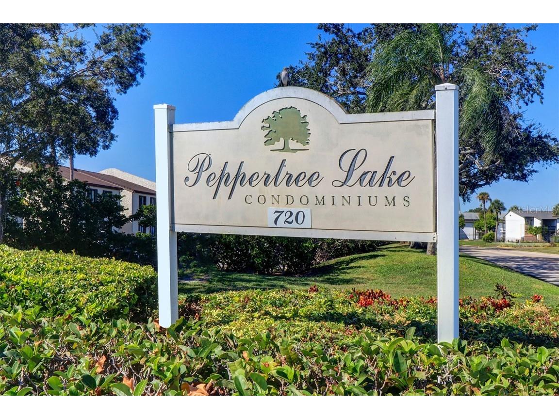 706 115th Avenue N #2401 Saint Petersburg FL 33716 TB8441873 image2