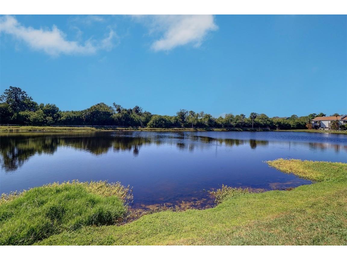 706 115th Avenue N #2401 Saint Petersburg FL 33716 TB8441873 image24