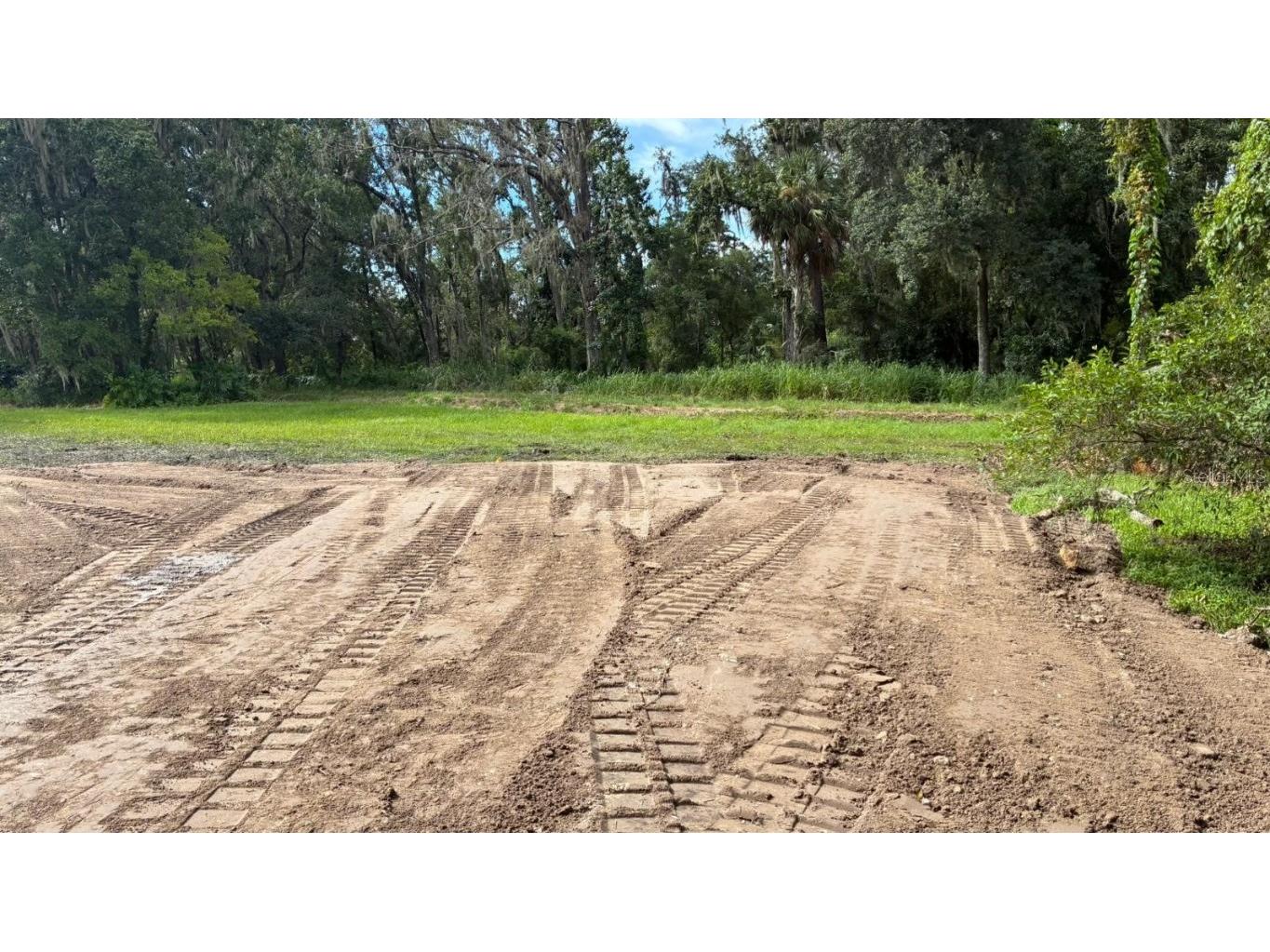 706 E Cherry Plant City FL 33563 O6340826 image3