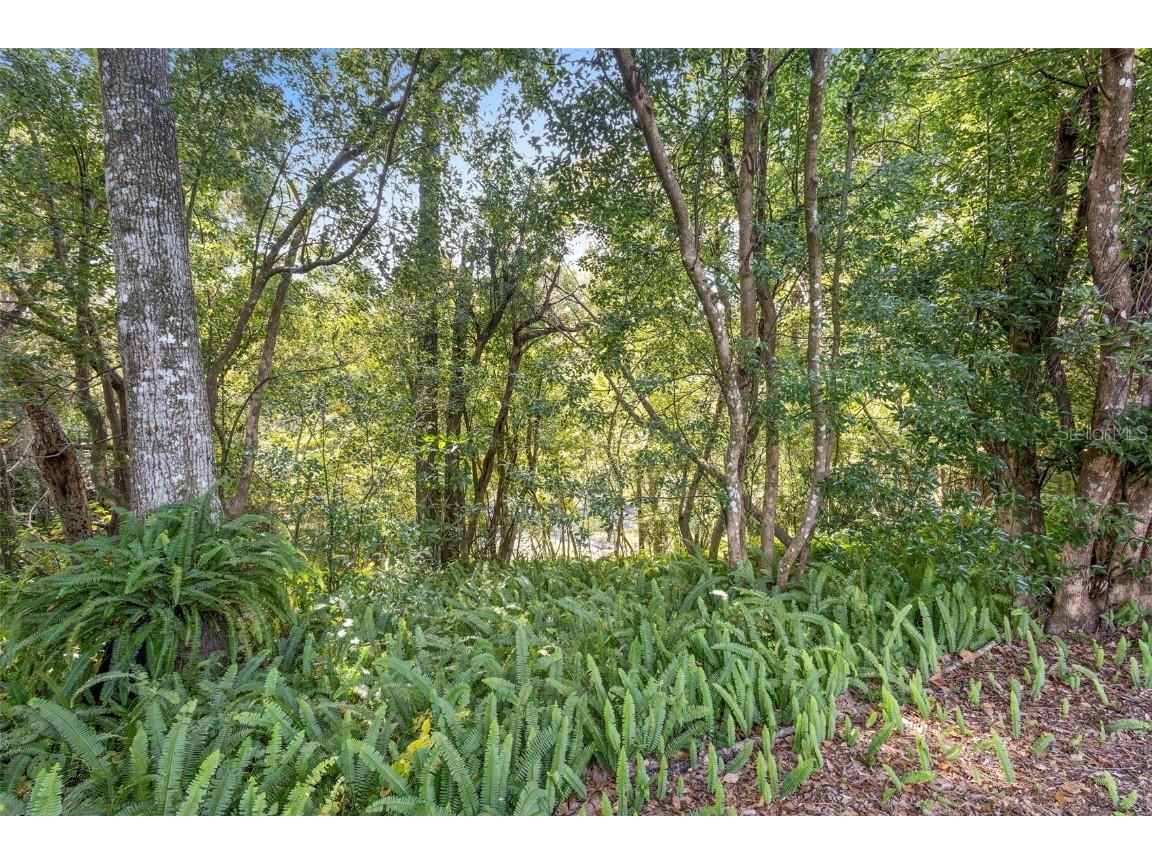 706 E Wisconsin Avenue Deland FL 32724 V4945746 image2