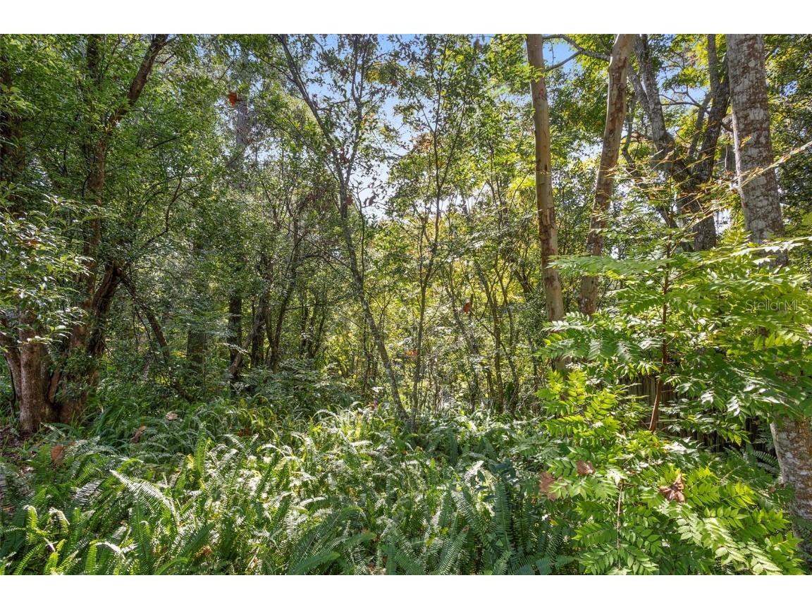 706 E Wisconsin Avenue Deland FL 32724 V4945746 image6