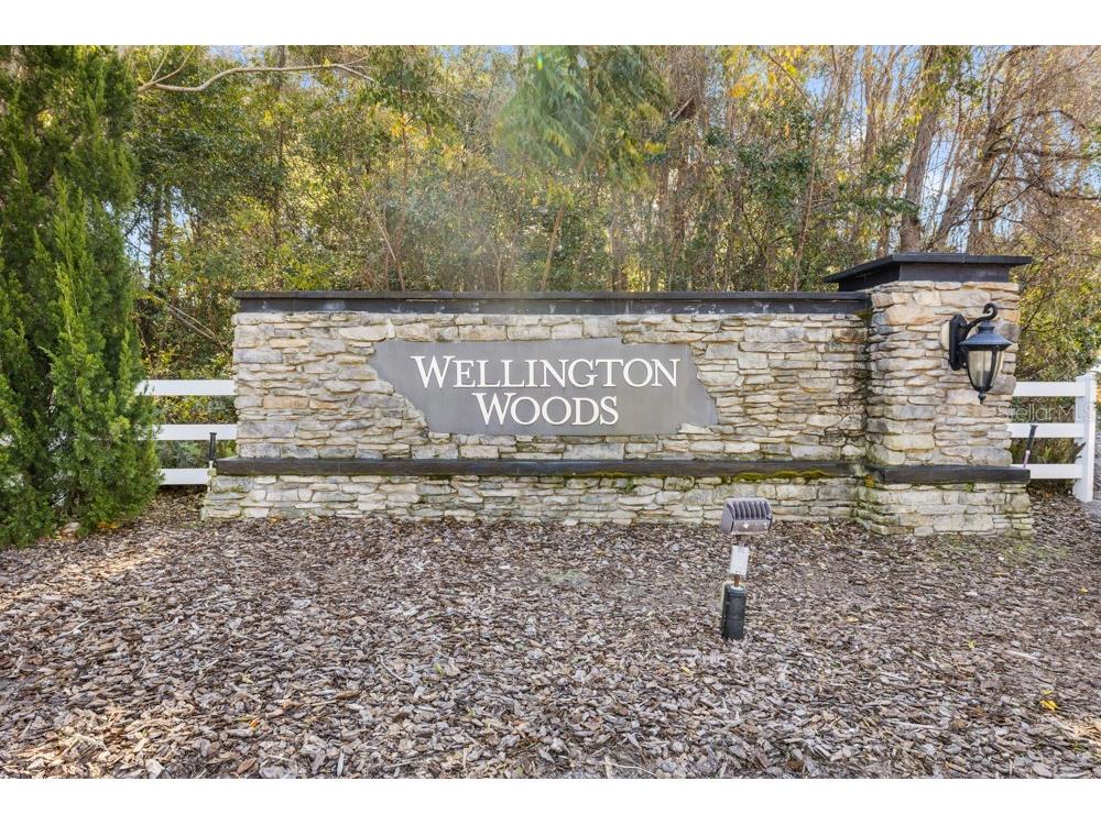 706 Fringe Tree Court Deland FL 32724 O6378940 image61