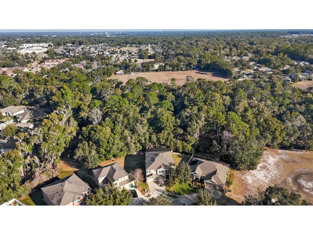 706 Fringe Tree Court Deland FL 32724 O6378940 image66