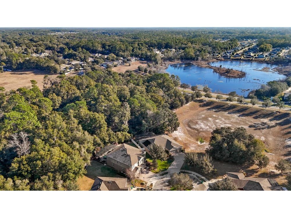 706 Fringe Tree Court Deland FL 32724 O6378940 image67