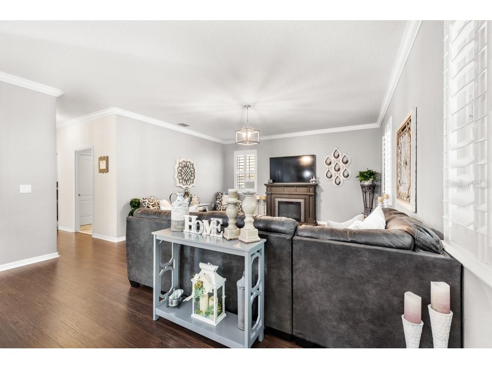 706 Fringe Tree Court Deland FL 32724 O6378940 image8