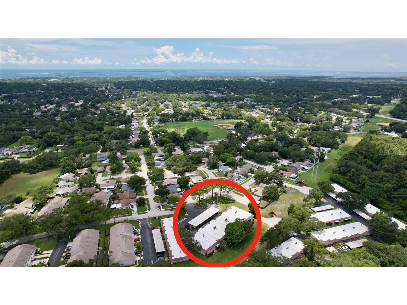 706 Green Valley Road #E7 Palm Harbor FL 34683 U8252195 image1