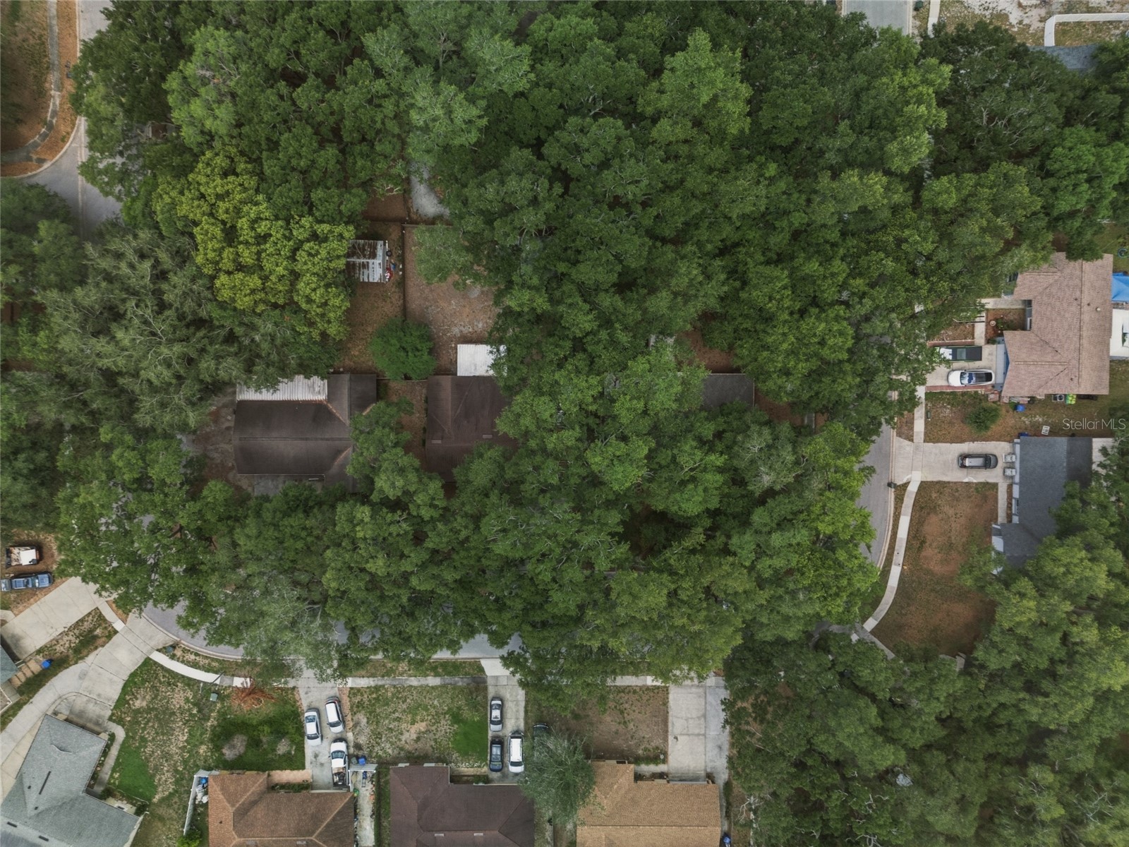 706 Lakeview Drive Ocoee FL 34761 G5112638 image37