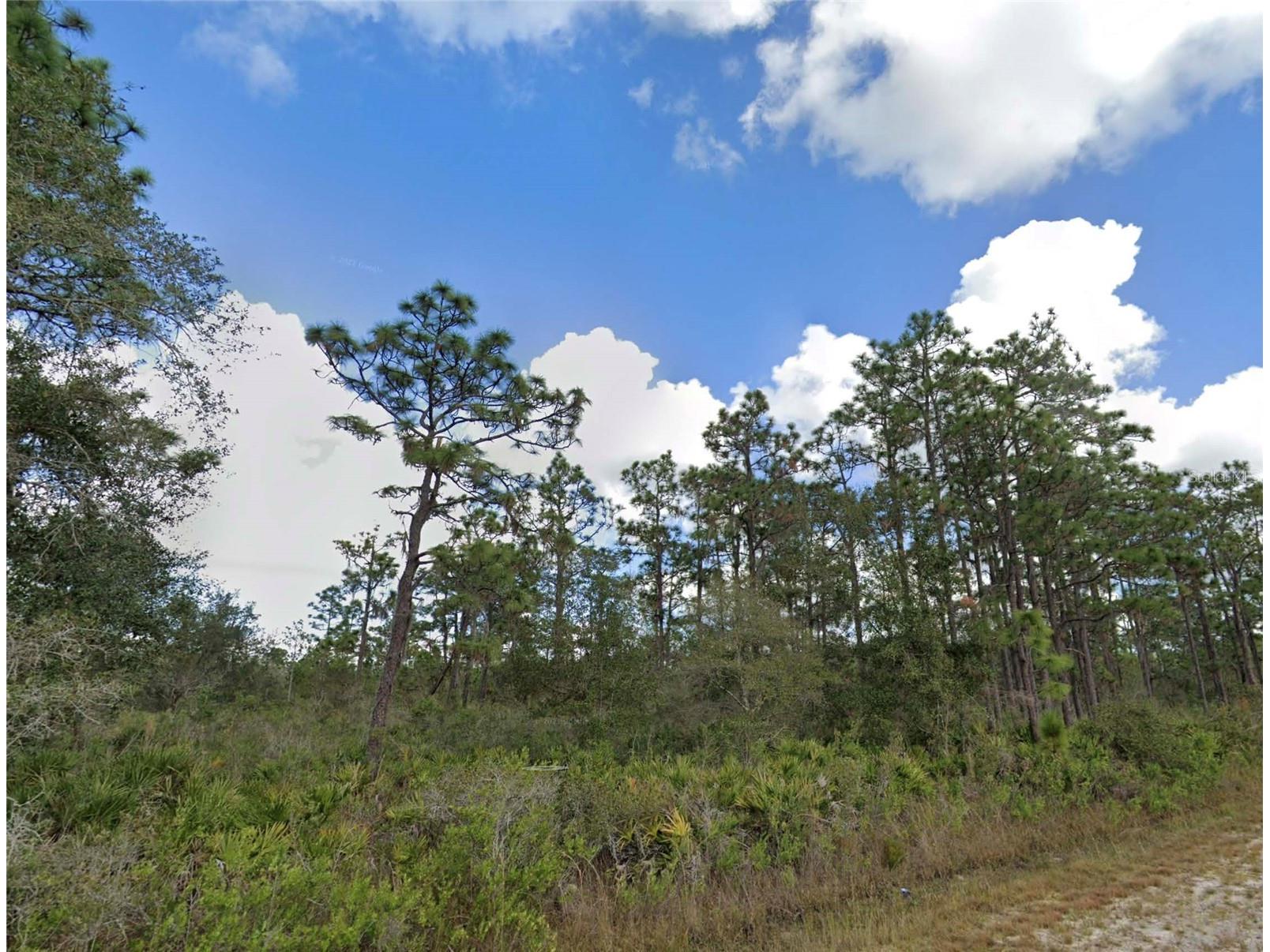 706 Poinciana Drive Indian Lake Estates FL 33855 O6360058 image1