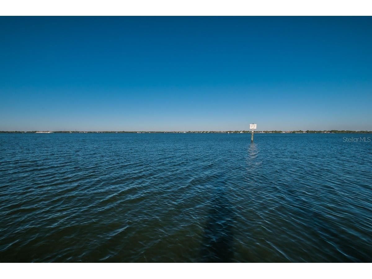 706 Quail Keep Drive Safety Harbor FL 34695 TB8448762 image100