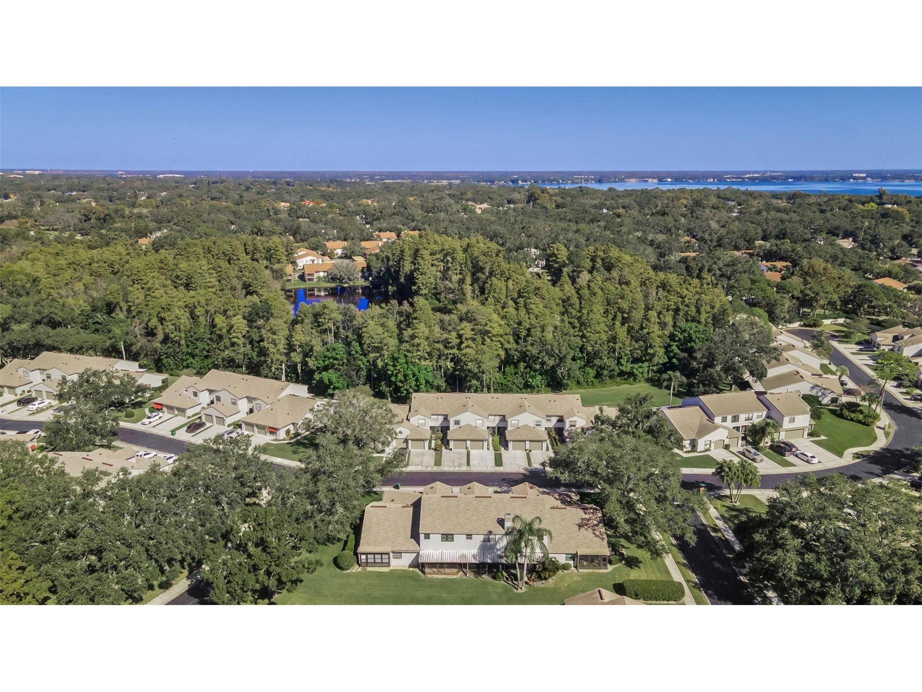 706 Quail Keep Drive Safety Harbor FL 34695 TB8448762 image5