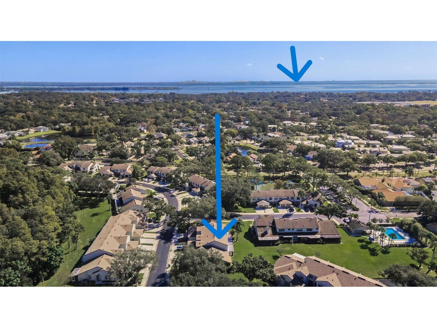 706 Quail Keep Drive Safety Harbor FL 34695 TB8448762 image53