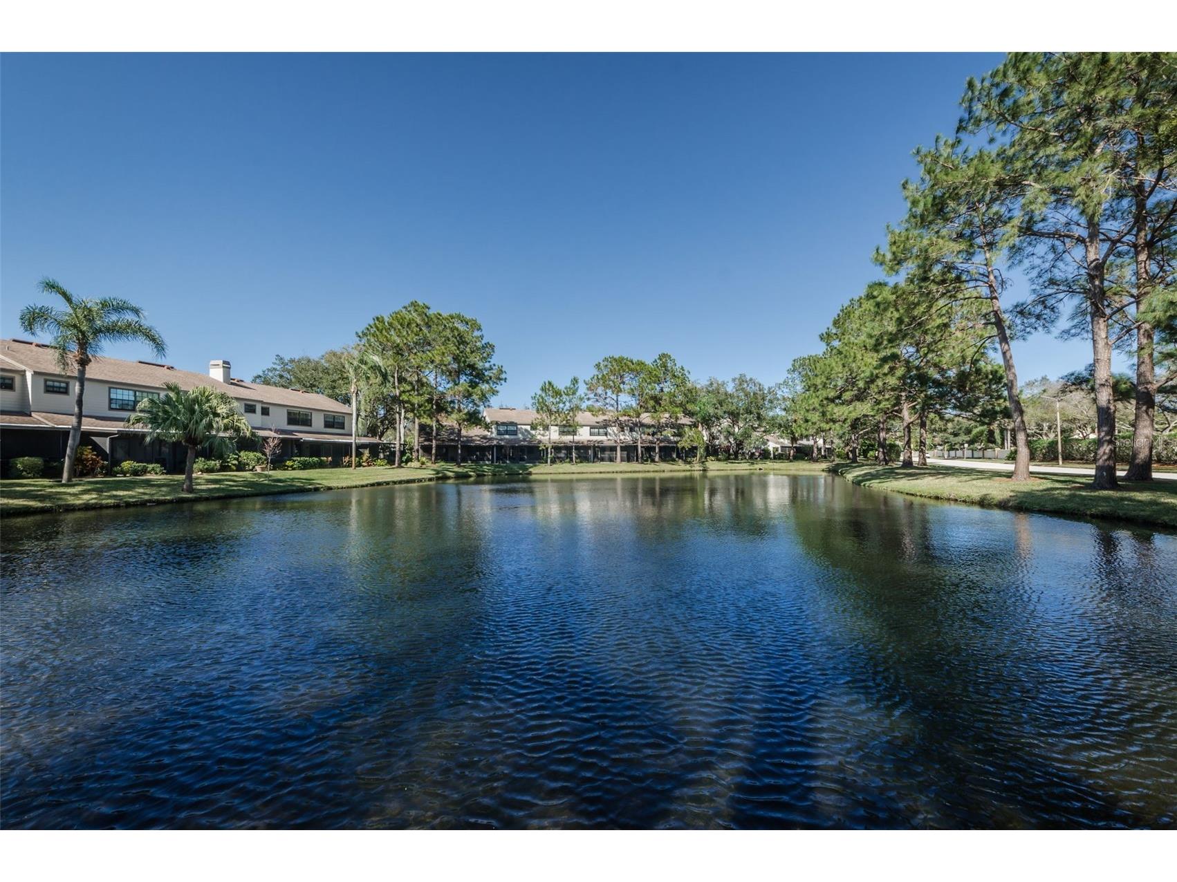 706 Quail Keep Drive Safety Harbor FL 34695 TB8448762 image57