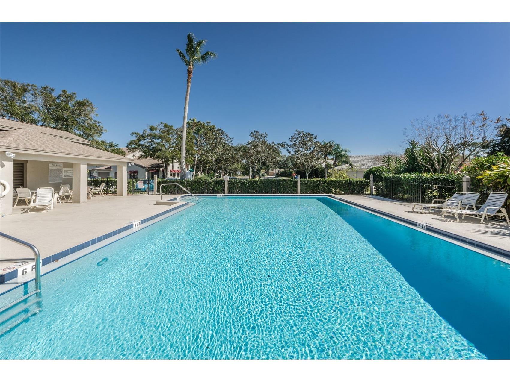 706 Quail Keep Drive Safety Harbor FL 34695 TB8448762 image60