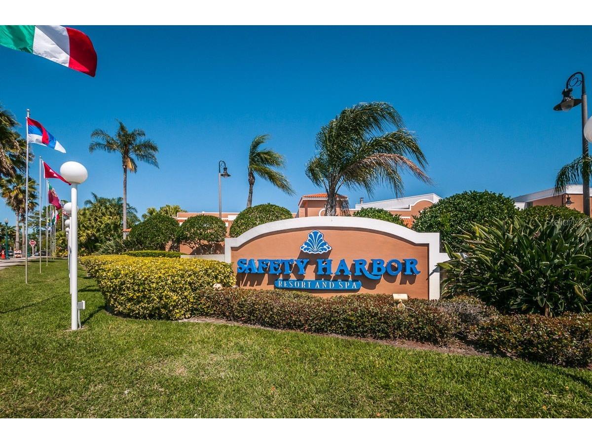 706 Quail Keep Drive Safety Harbor FL 34695 TB8448762 image67