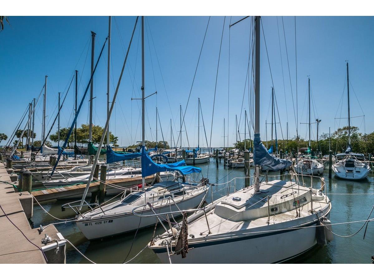 706 Quail Keep Drive Safety Harbor FL 34695 TB8448762 image73