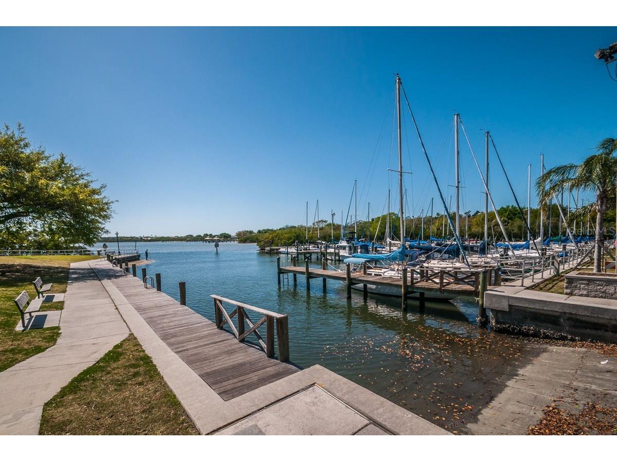 706 Quail Keep Drive Safety Harbor FL 34695 TB8448762 image74