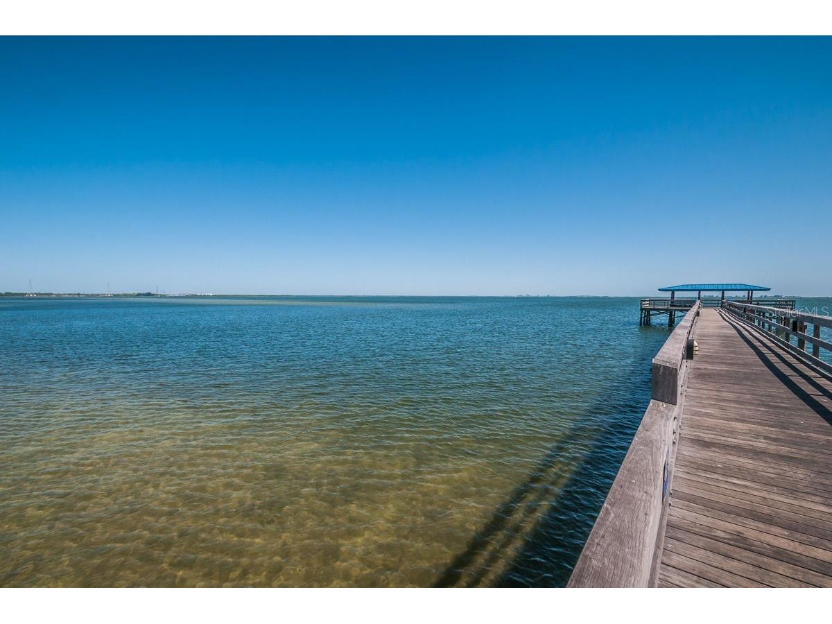 706 Quail Keep Drive Safety Harbor FL 34695 TB8448762 image77