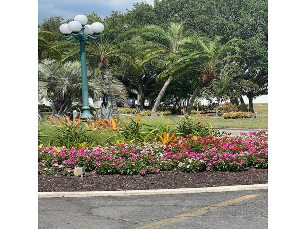 706 Roma Road Venice FL 34285 D6143304 image4