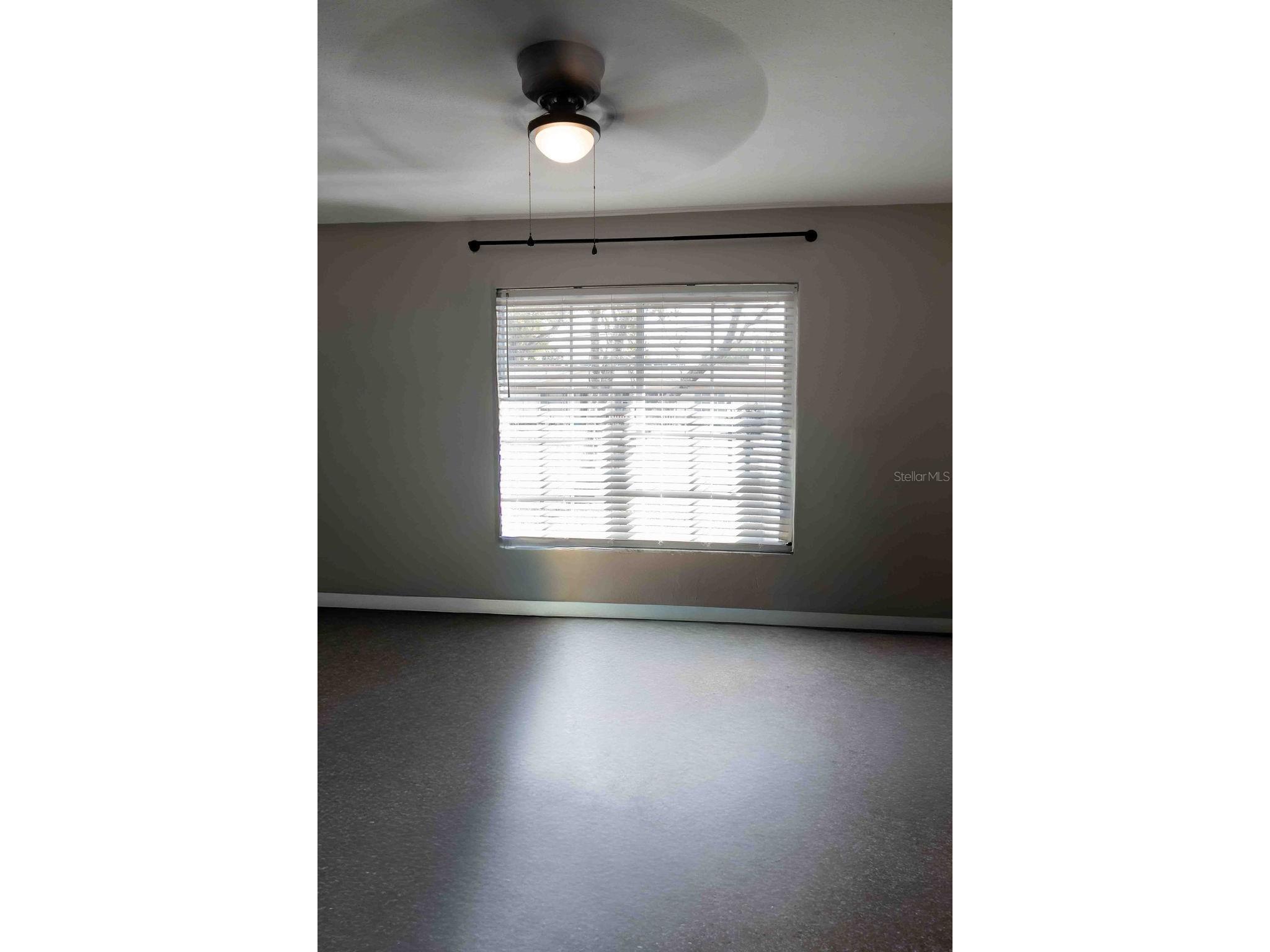 706 S Pearl Circle Brandon FL 33510 TB8486868 image10