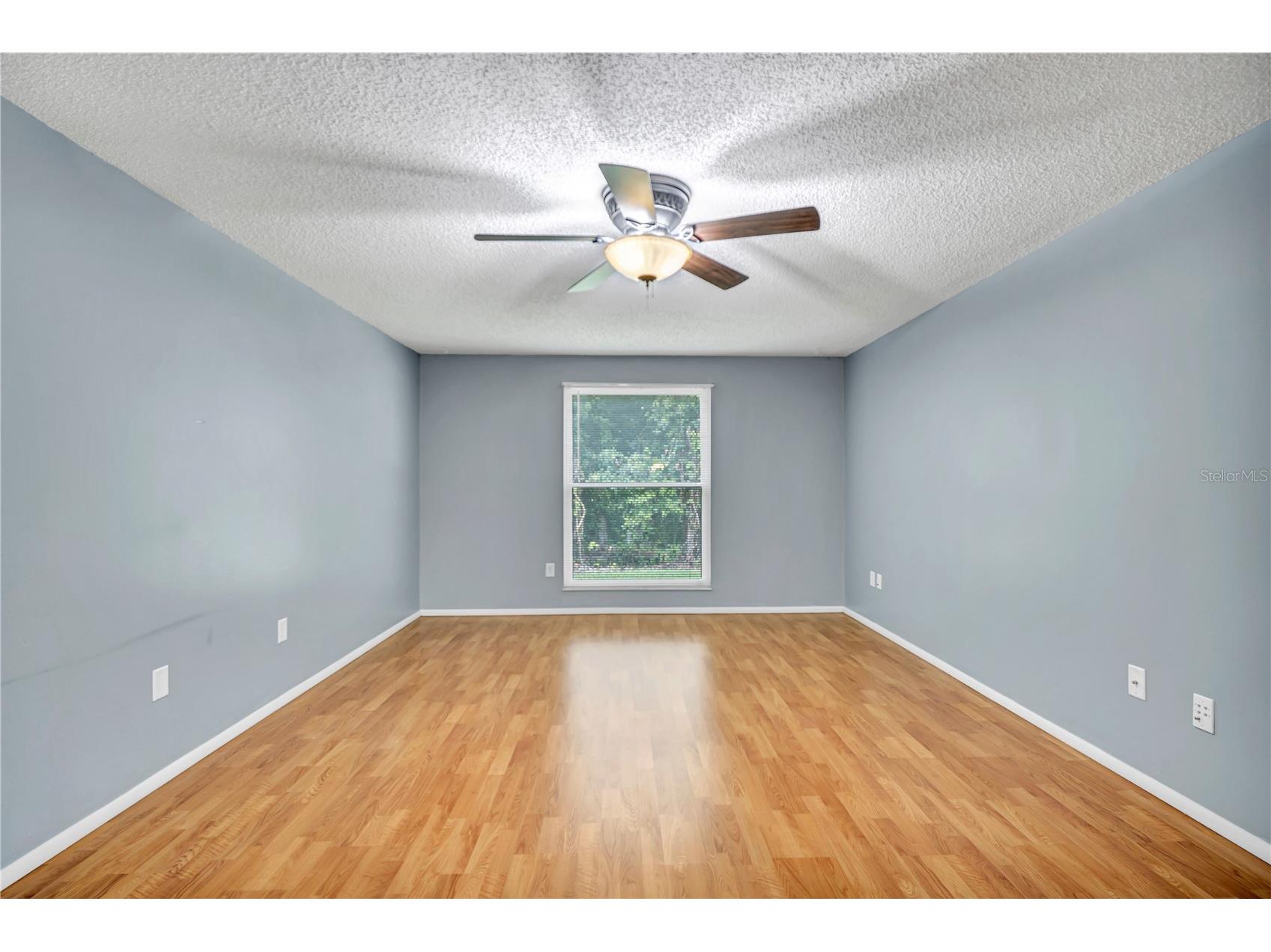 706 Sweetbriar Drive Oldsmar FL 34677 TB8513297 image14