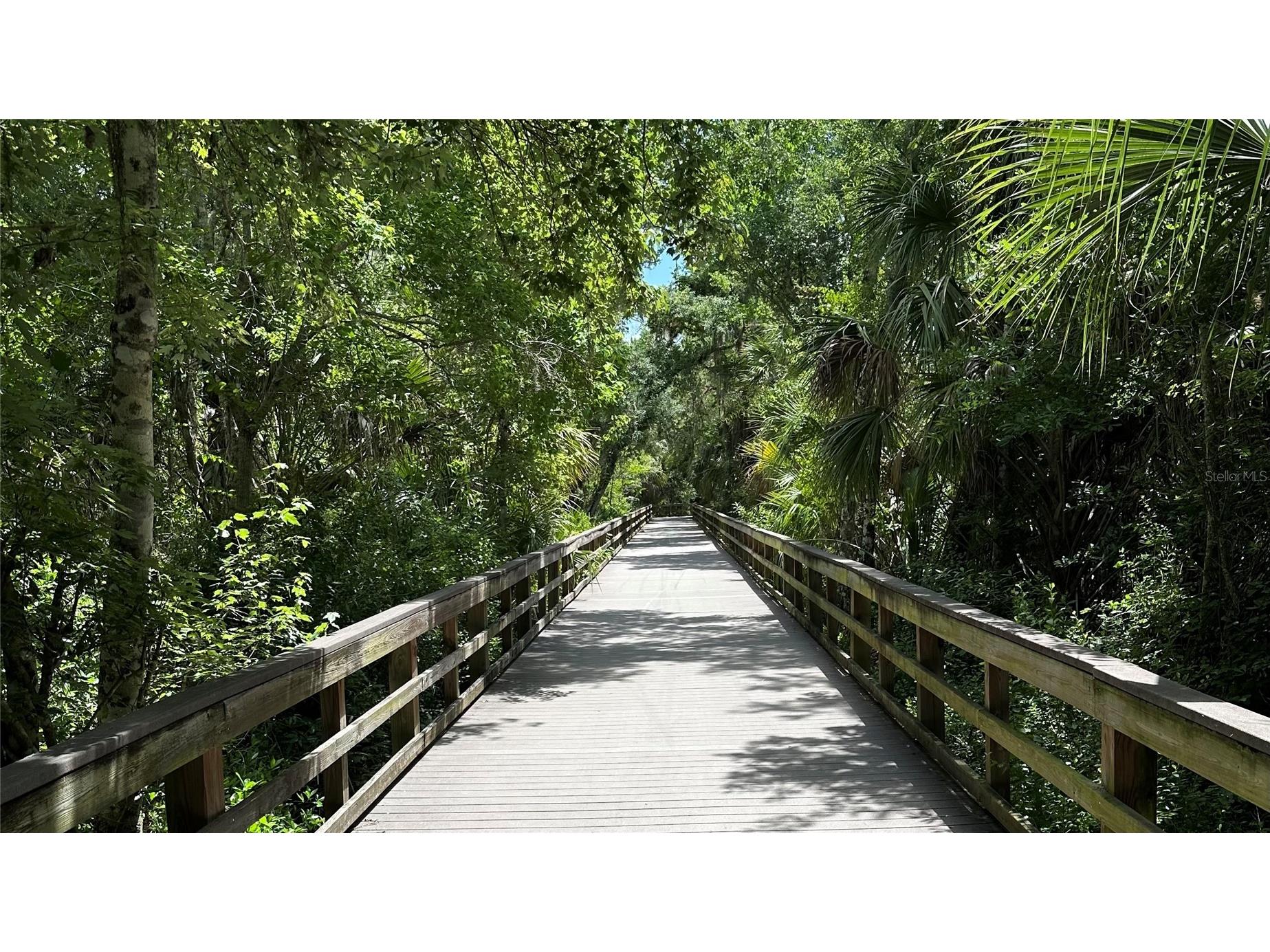 706 Sweetbriar Drive Oldsmar FL 34677 TB8513297 image38
