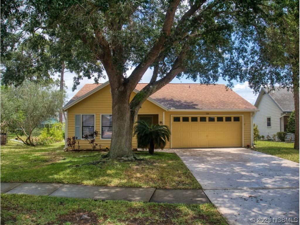 706 Sky Tree Court New Smyrna Beach FL 32168 NS1074479 image1